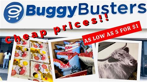 buggybusters|buggy busters hickory.